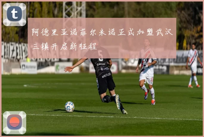 阿德里亚诺菲尔米诺正式加盟武汉三镇开启新征程