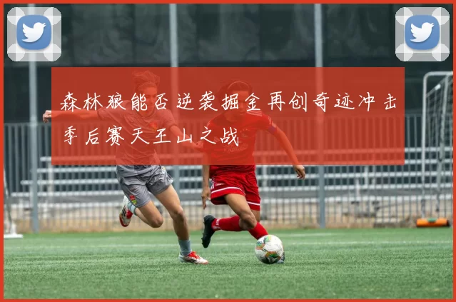 森林狼能否逆袭掘金再创奇迹冲击季后赛天王山之战
