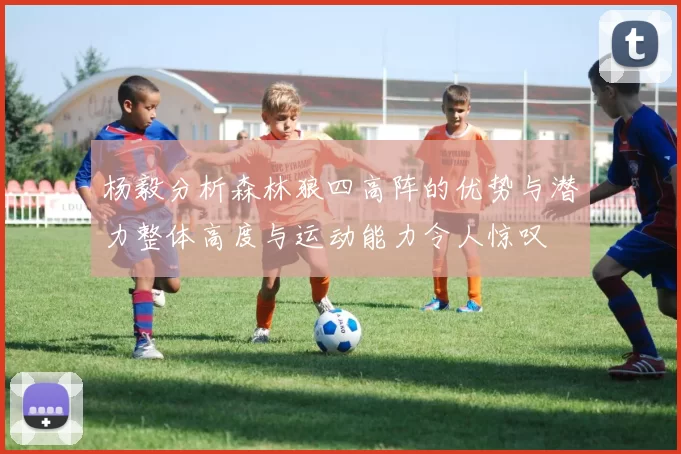 杨毅分析森林狼四高阵的优势与潜力整体高度与运动能力令人惊叹